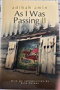 As I Was Passing II - Abidah Amin